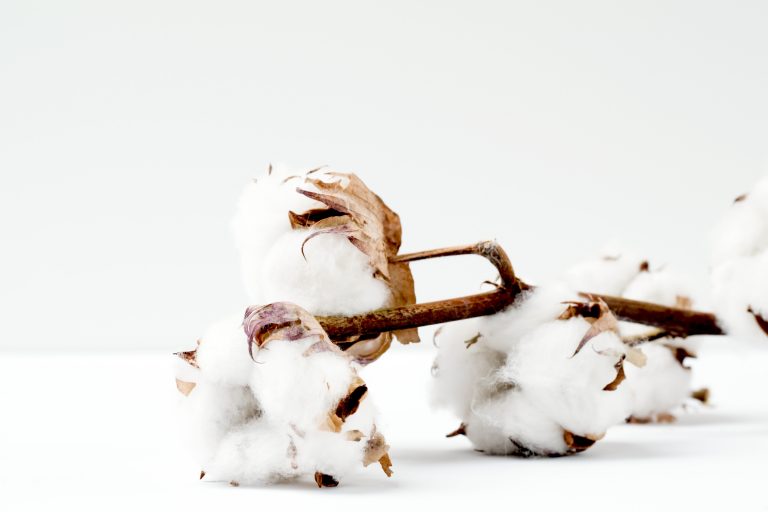 eco-friendly cotton